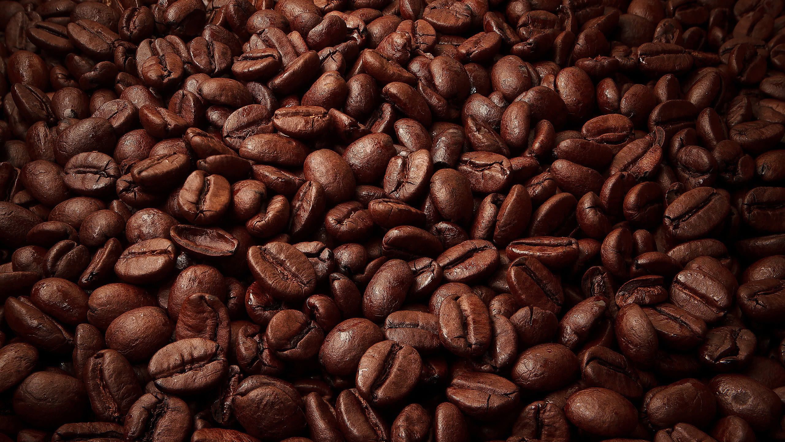 Coffee Beans WQHD 1440P Wallpaper