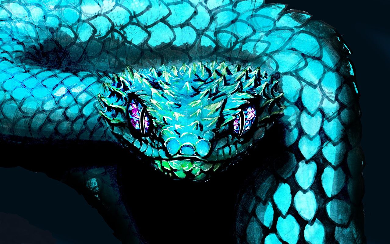 Blue Snake Drawing Wallpapers - Wallpaper Cave