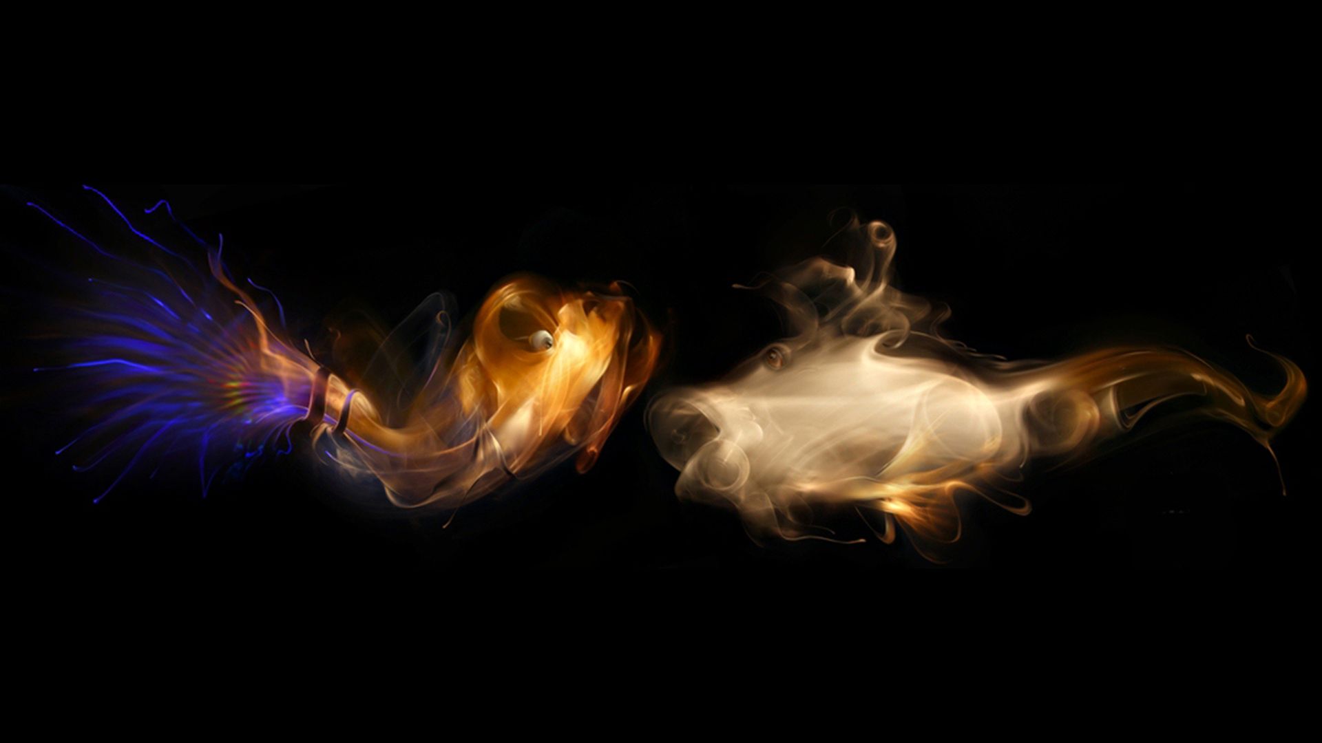 Free download Multi color smoke fish with black background 3D gaming HD wallpaper [1920x1080] for your Desktop, Mobile & Tablet. Explore 3D HD Color Wallpaper. Free 3D Wallpaper, Wallpaper