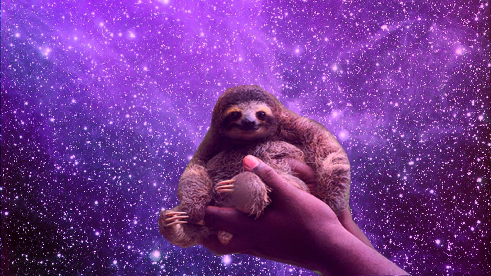 sloths in space photo, HD phone wallpaper, Sloth