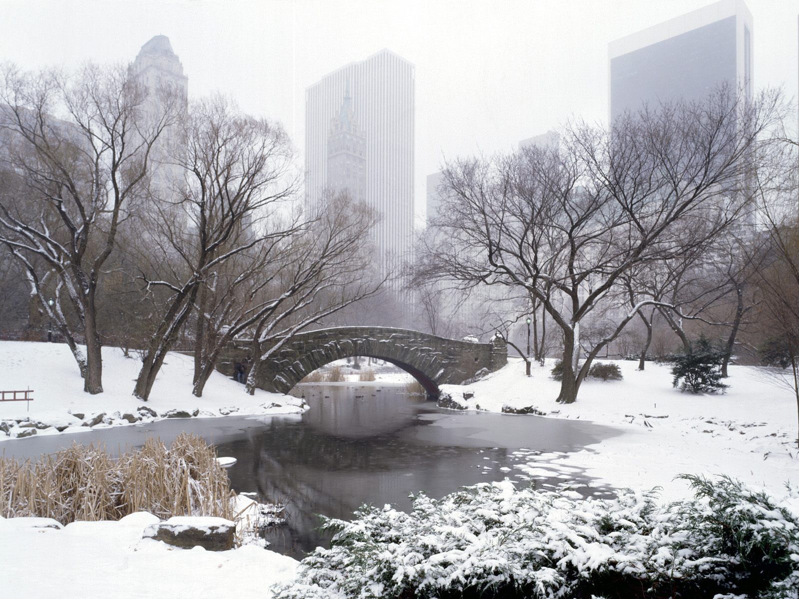 Central Park in the Winter since I'm going in January. New york tourist attractions, New york attractions, Central park winter