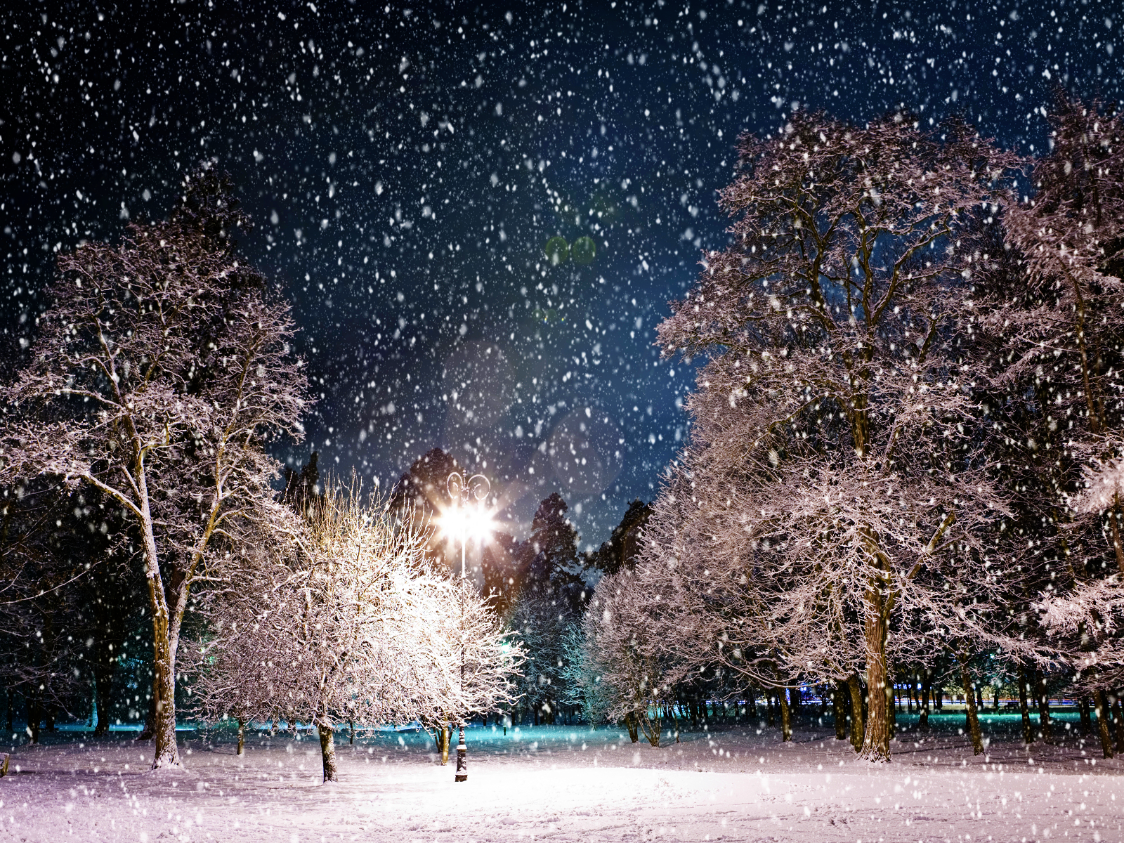 Snowy Winter Night Scenes Wallpaper