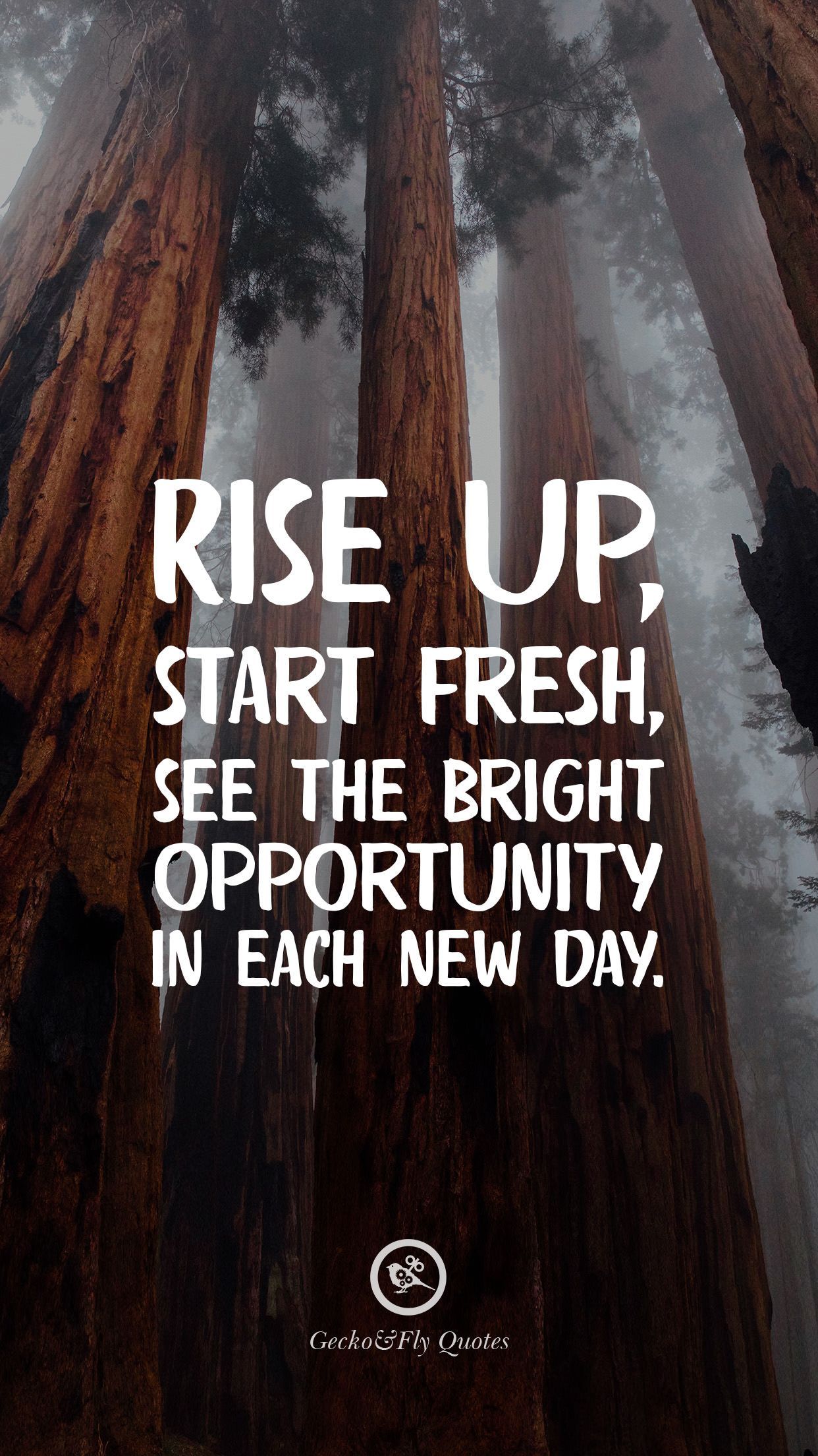 Rise up, start fresh, see the bright opportunity in each new day. Inspirational quotes wallpaper, Motivational quotes wallpaper, Fly quotes