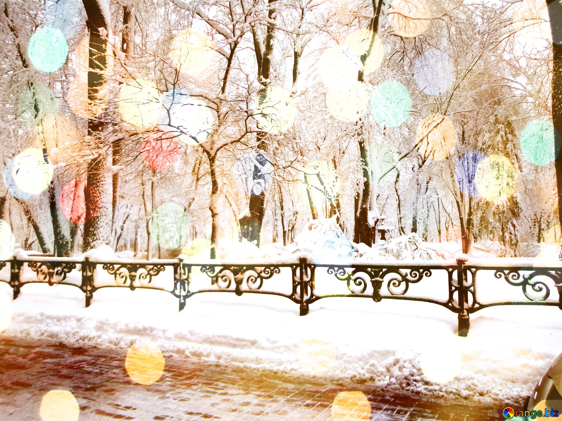 Download free picture Snow City Park winter lights backgrounds on CC