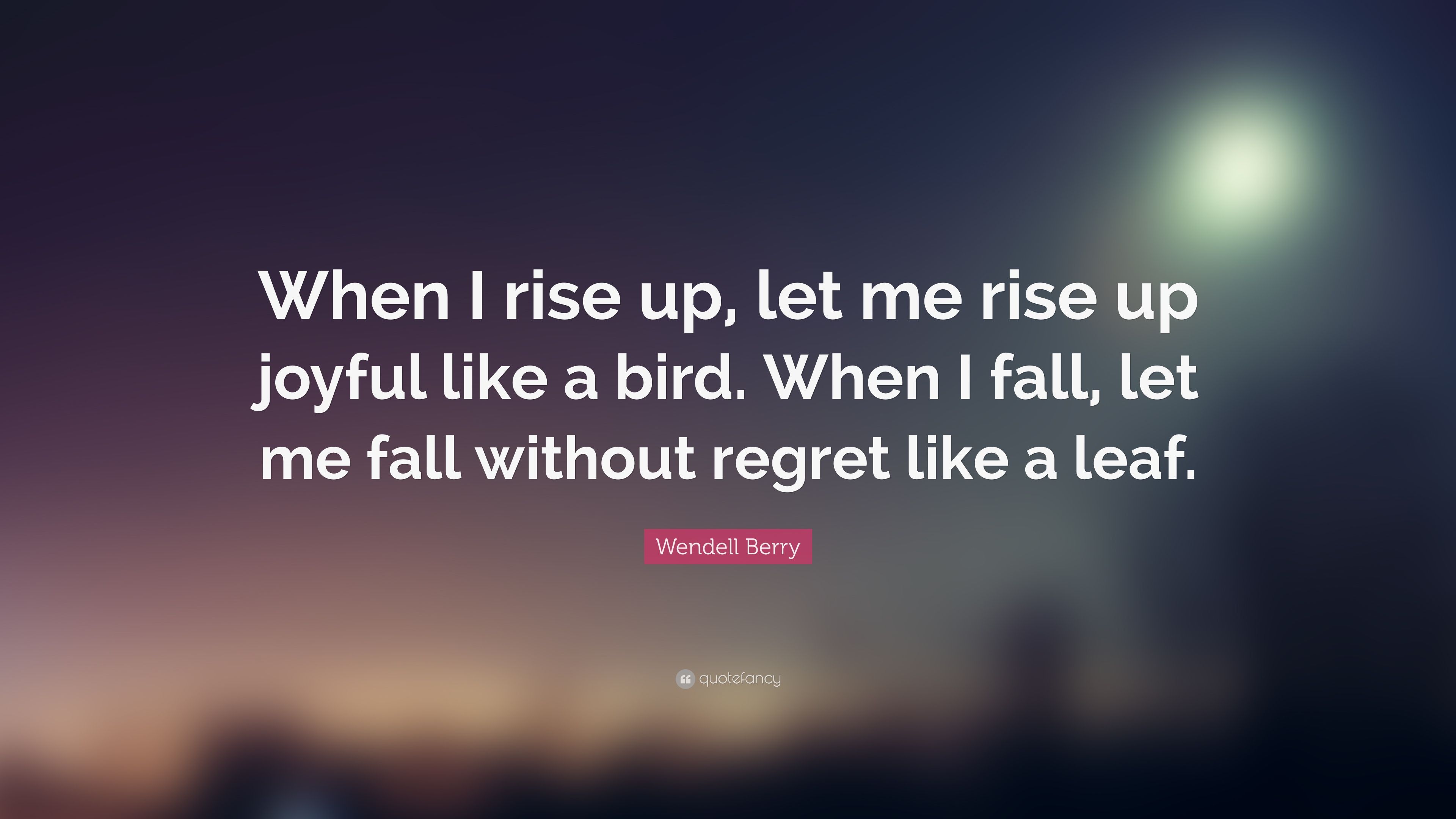 Wendell Berry Quote: “When I rise up, let me rise up joyful like a bird. When I fall, let me fall without regret like a leaf.” (12 wallpaper)