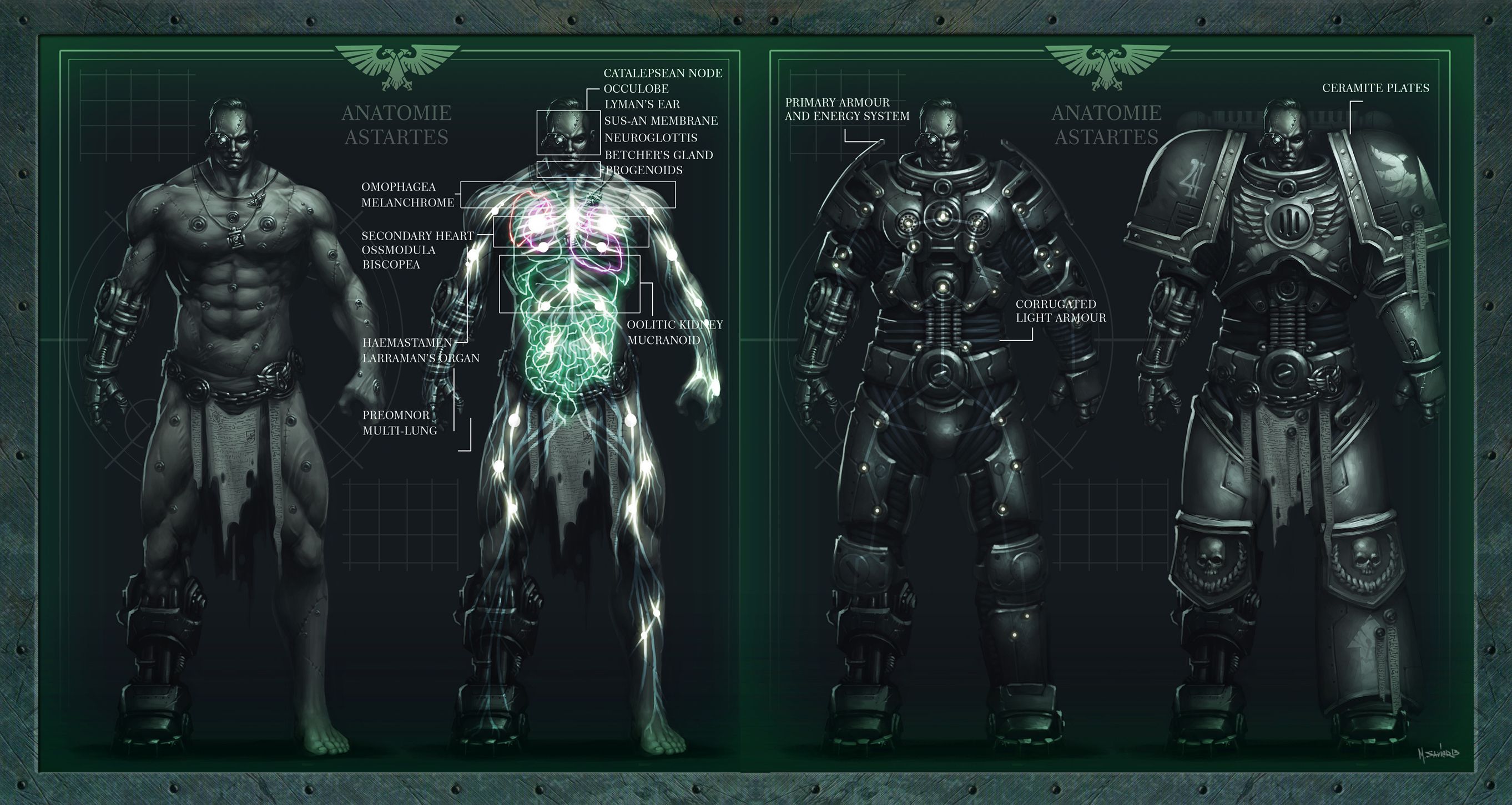 Astartes Wallpapers Wallpaper Cave