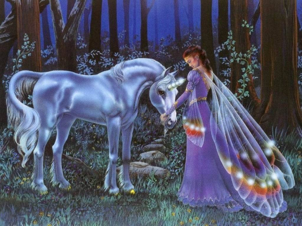 Unicorn and Fairy Wallpaper Wallpaper 6348903