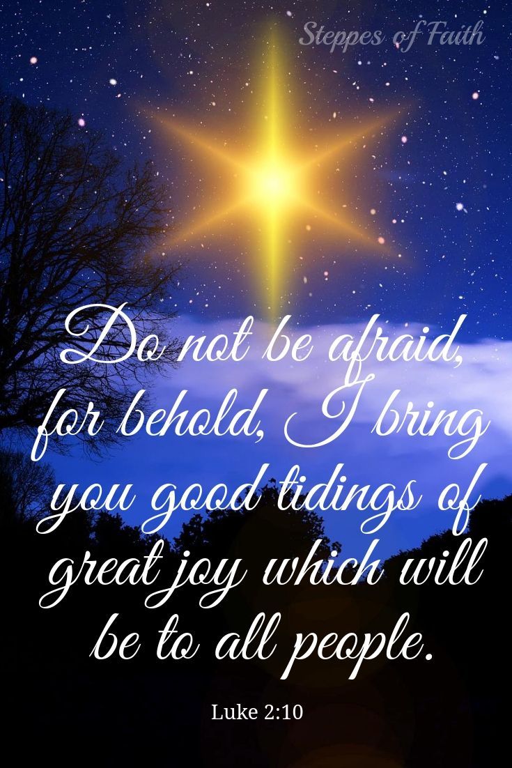 Christmas #star #good #joy #news #goodnews #tide #people #beautiful #Jesus #bibleverses #bible #christian #faith #dailydevo. Bible prayers, Holiday quotes, Faith