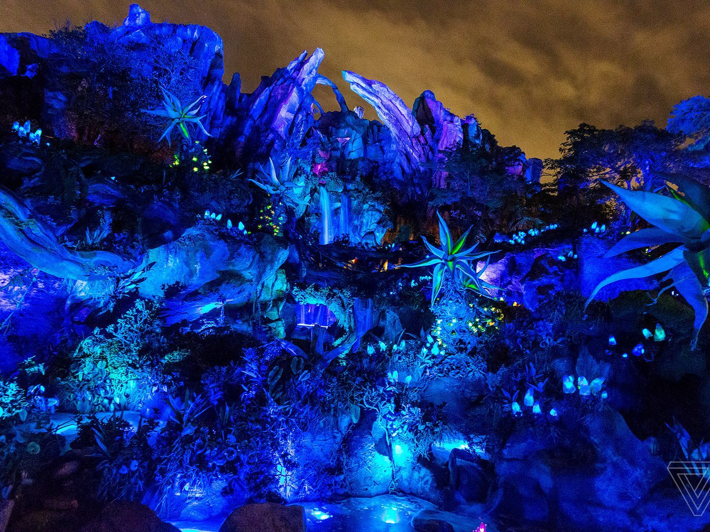 Visiting Pandora: a photo tour of Disney's new Avatar land
