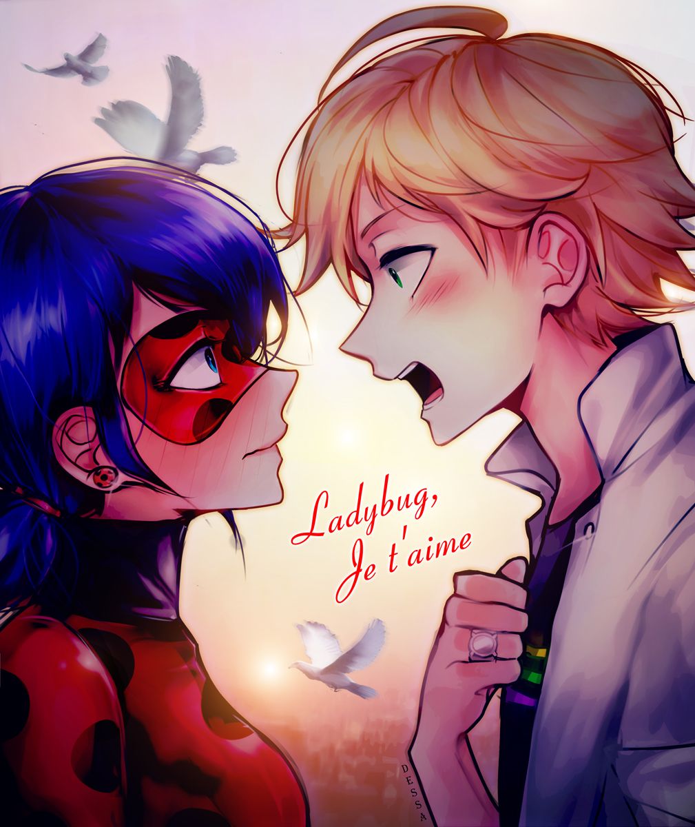 Ladybug and Adrien Ladybug fan Art