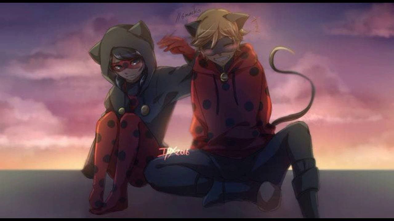 Lady bug and cat noir anime
