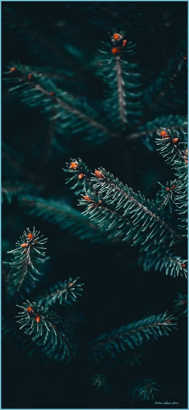 Country Christmas iPhone Wallpaper Free Country Christmas wallpaper iphone x