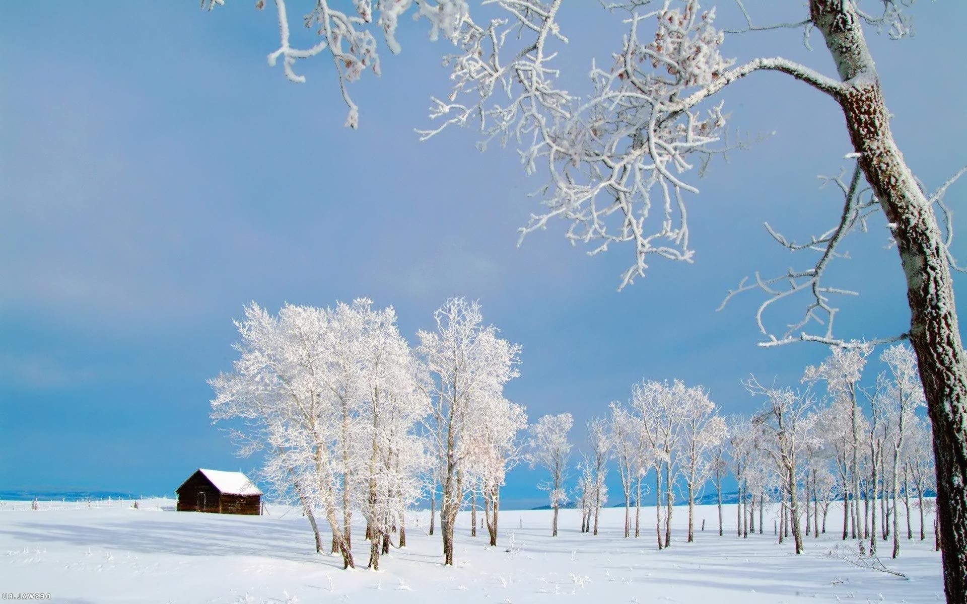 Обои a lonely winter