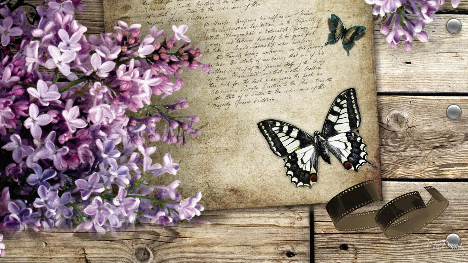 Vintage Butterfly Wallpaper