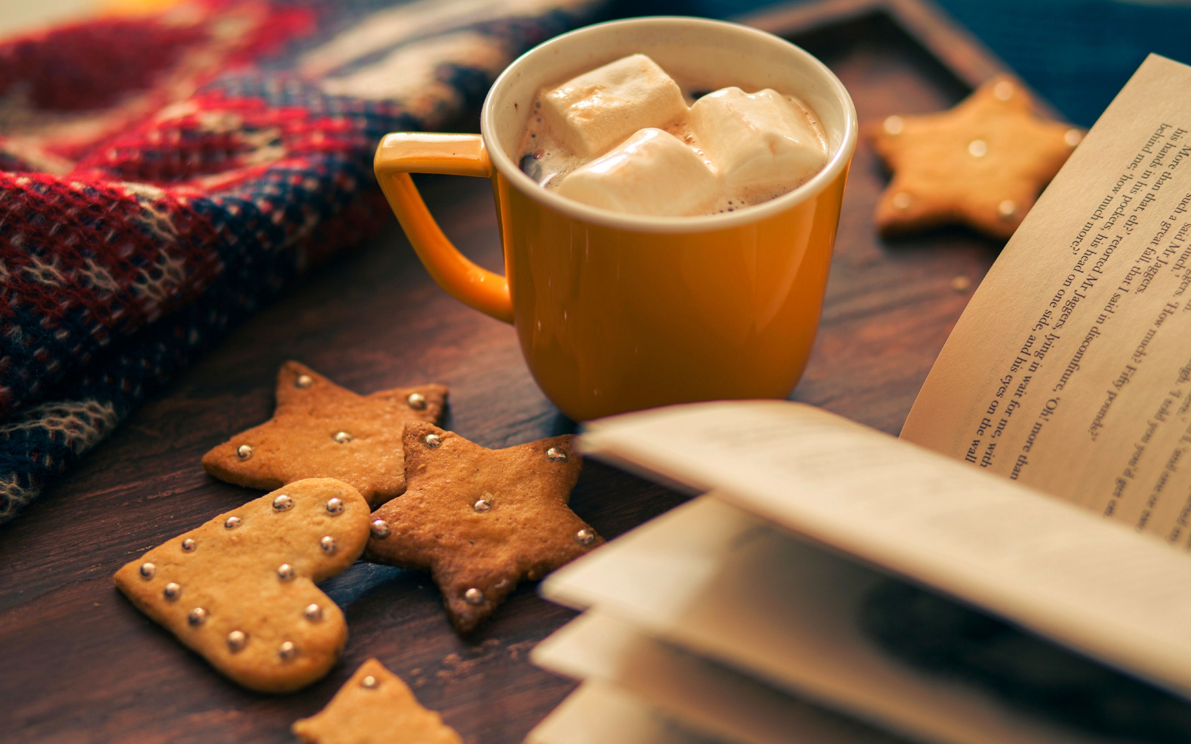 Download wallpaper winter, holiday, heart, star, food, cookies, Cup, book, star, heart, winter, cup, cocoa, book, holiday, cocoa, section food in resolution 3800x2375
