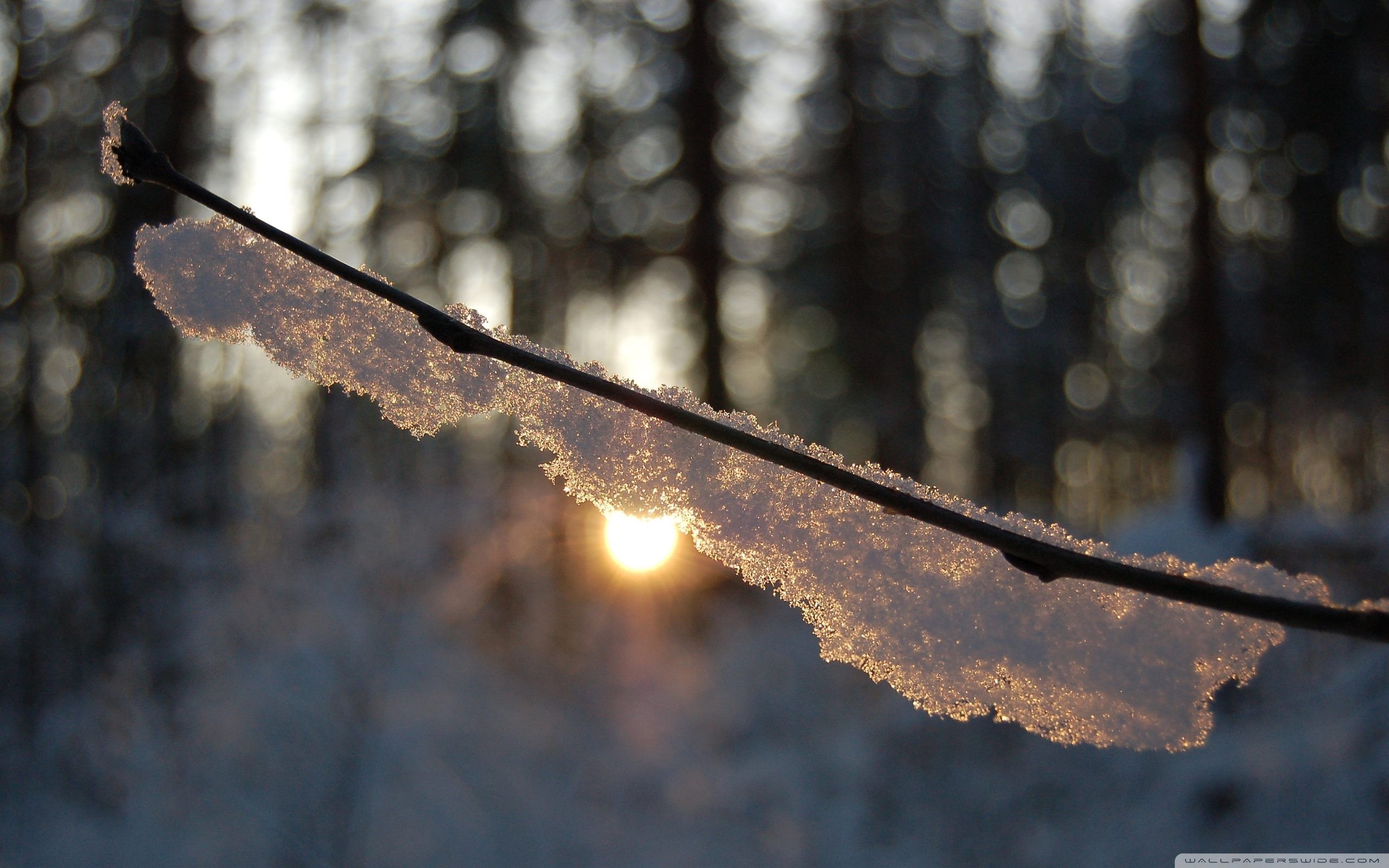 Free download Warm Winter Sun HD desktop wallpaper High Definition Fullscreen [2560x1600] for your Desktop, Mobile & Tablet. Explore Warm Winter Wallpaper. Hotwallpaper in, Cozy Wallpaper, Hottest Wallpaper