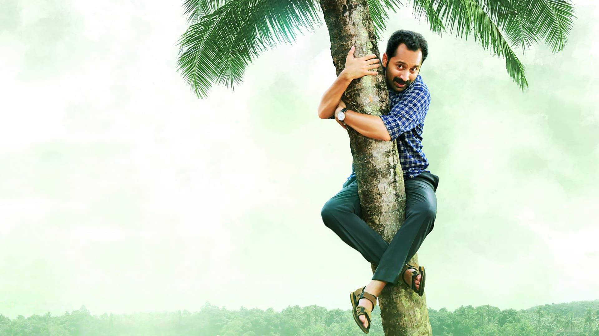 Njan Prakashan Wallpapers Wallpaper Cave