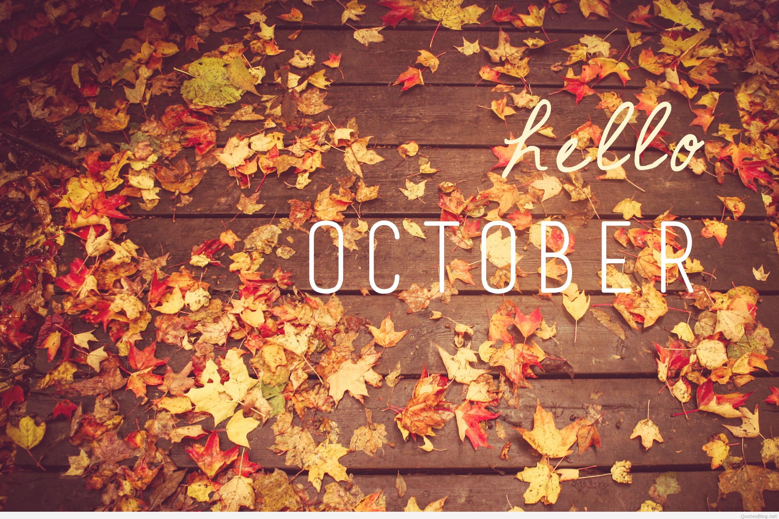 Hello October Wallpaper