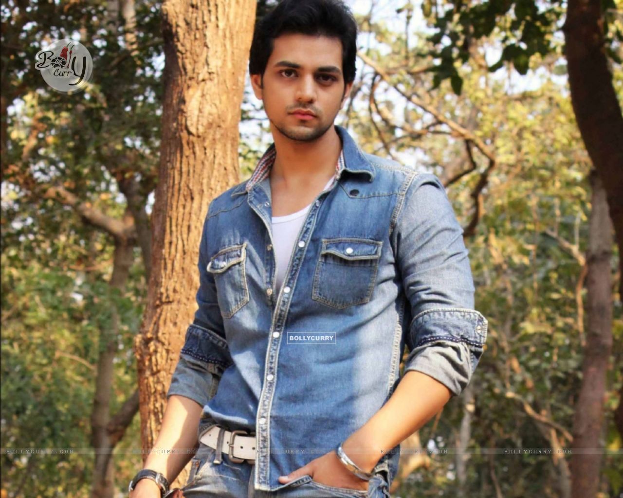 Wallpaper Arora size:1280x1024