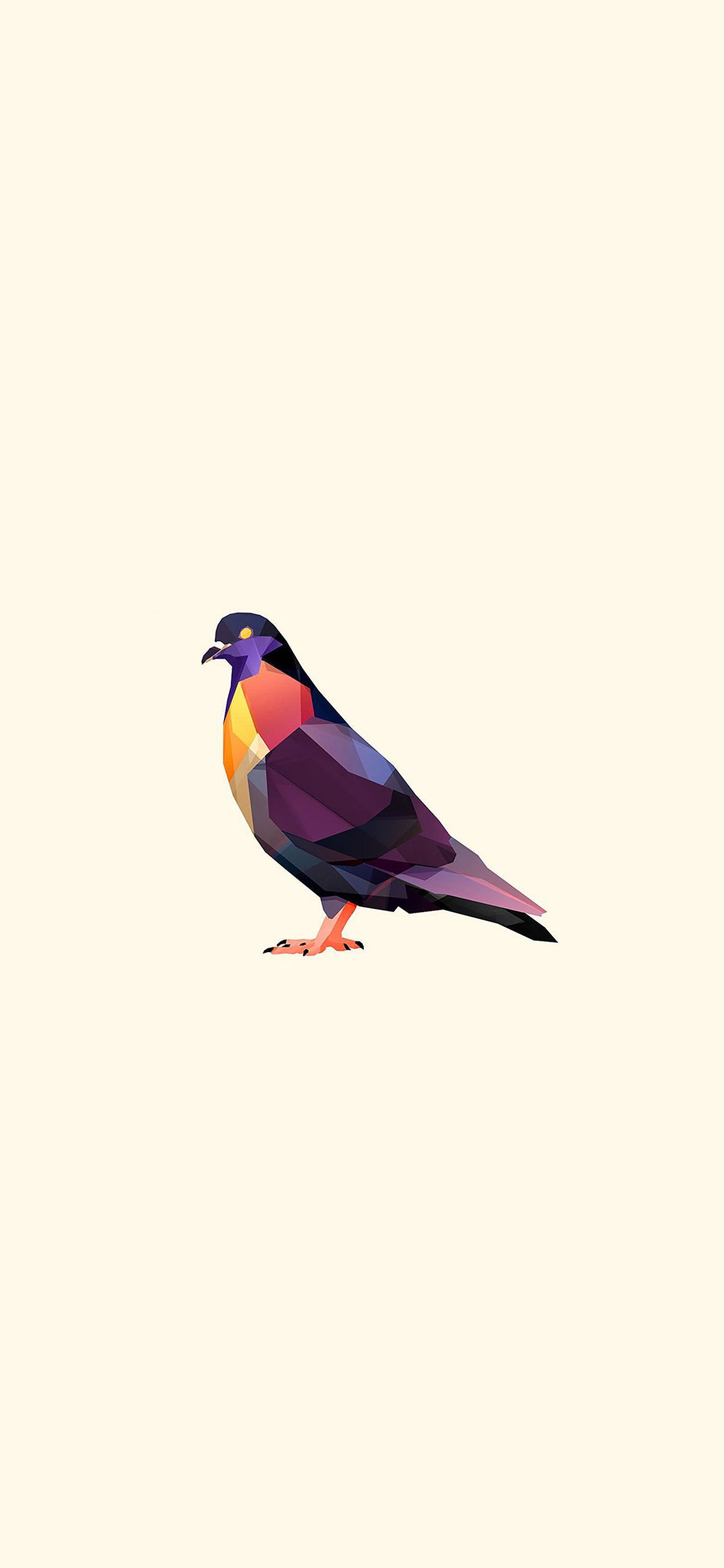 Minimal Pigeon Bird Illust Art