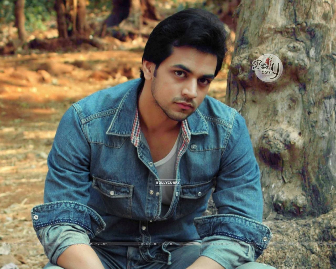 Wallpaper Arora size:1280x1024