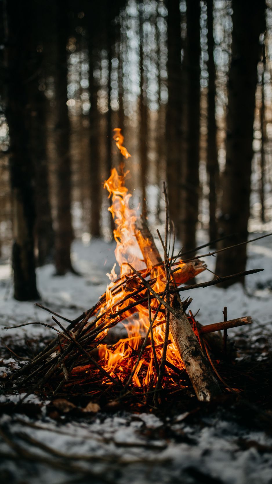 Download Wallpaper 938x1668 Bonfire, Fire, Flame, Branches Iphone 8 7 6s 6 For Parallax HD Background
