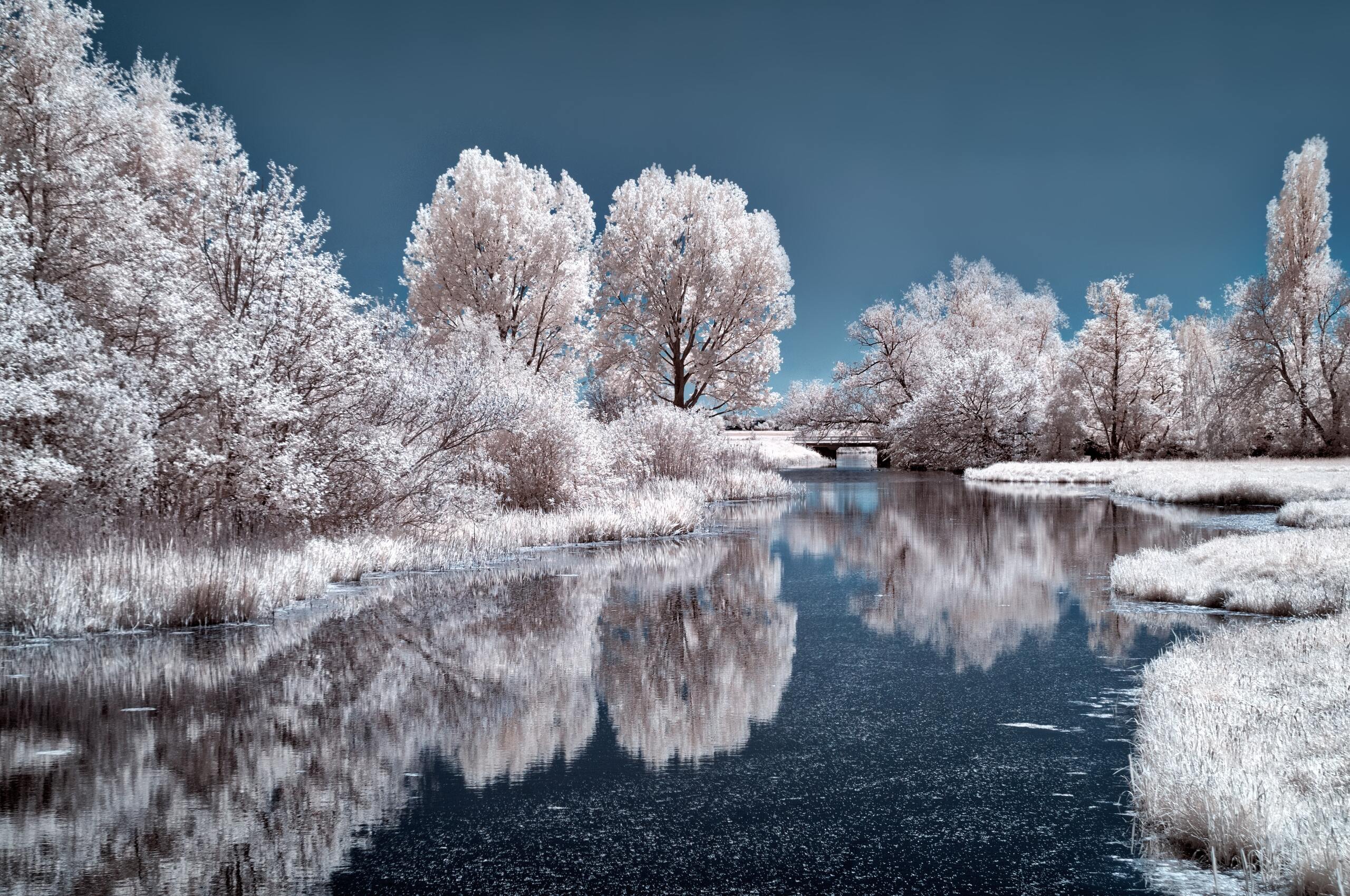 Ice Lake Frozen Trees 4k Chromebook Pixel HD 4k Wallpaper, Image, Background, Photo and Picture