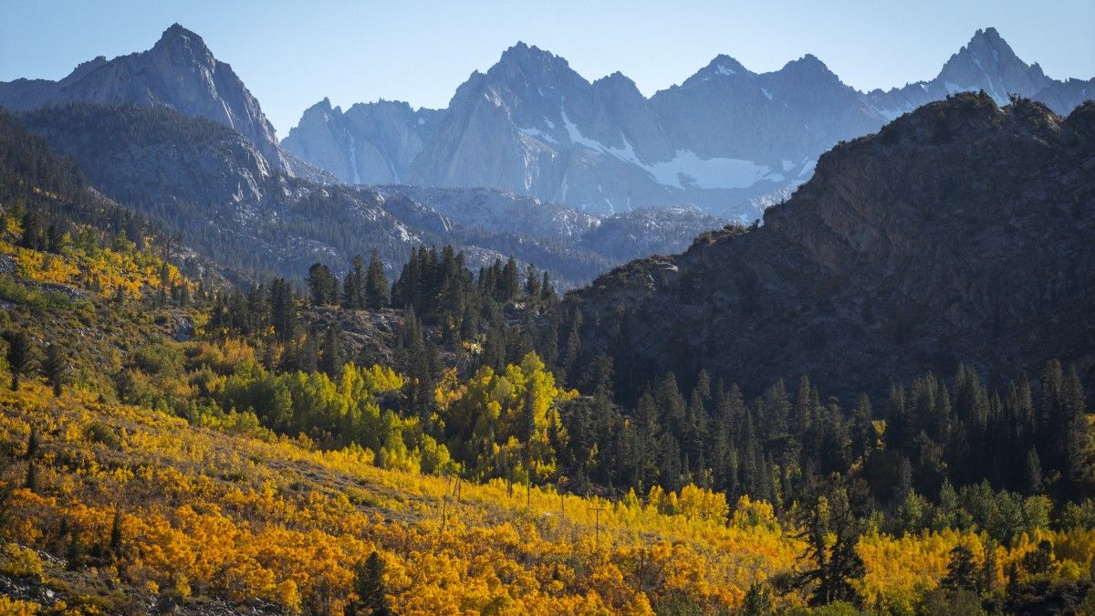 Eastern Sierra fall colors are at peak. Here's where you need to go right now Angeles Times