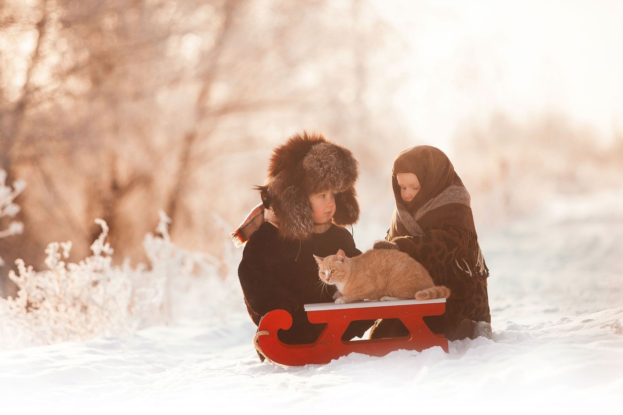 Wallpaper. Children. photo. picture. children, kids, boy, girl, a couple