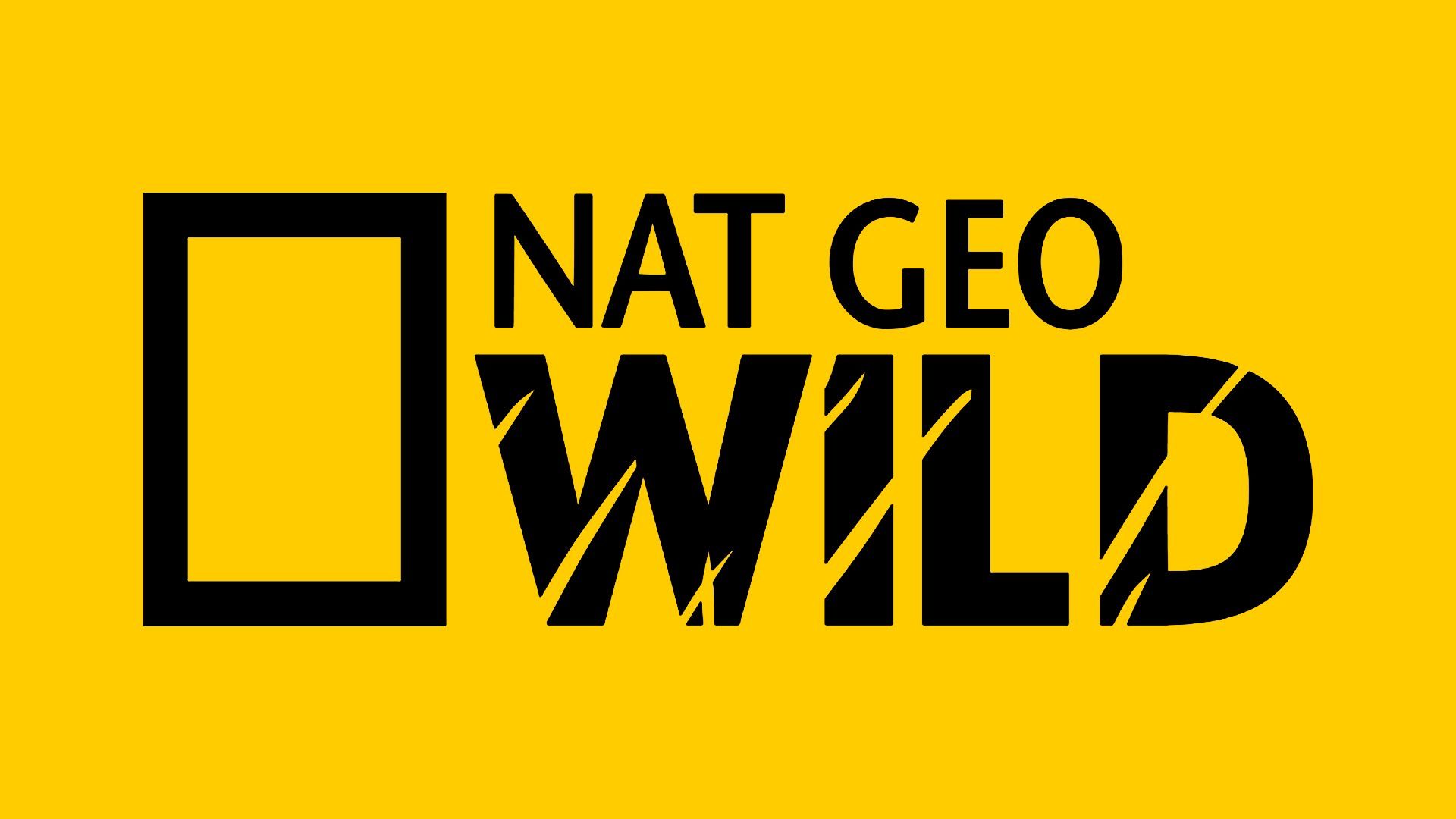 National Geographic Wild (Asia) | Logopedia | Fandom