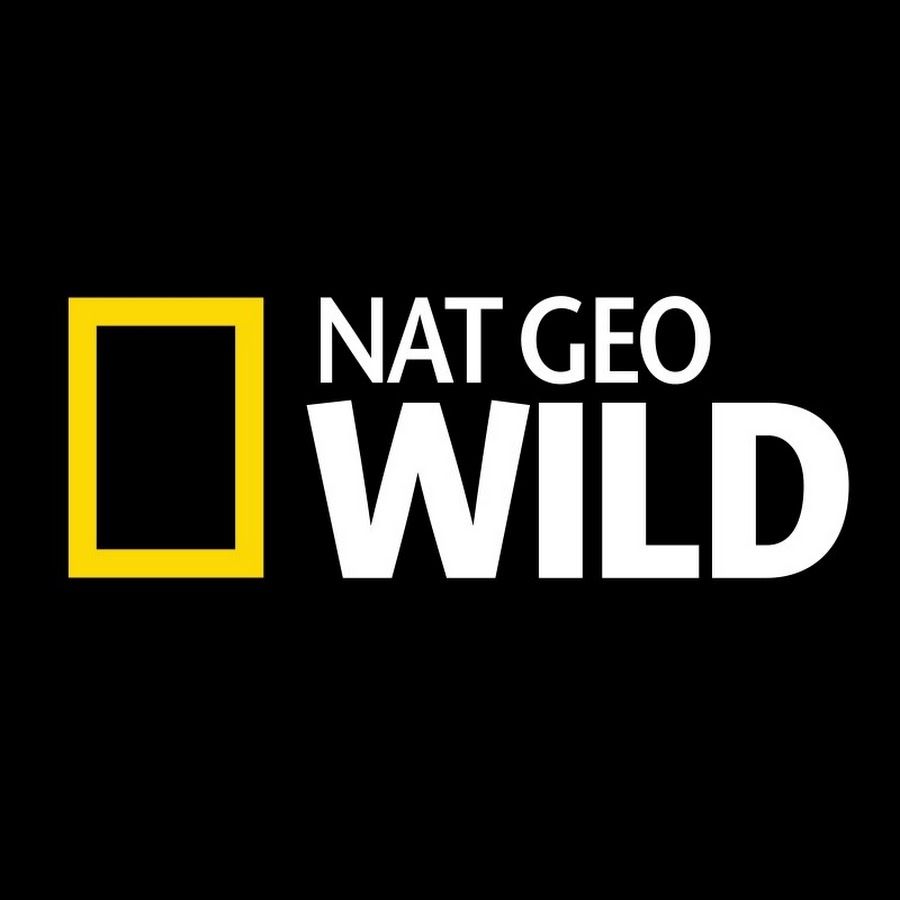 YouTube. National geographic wild, National geographic, Wild logo