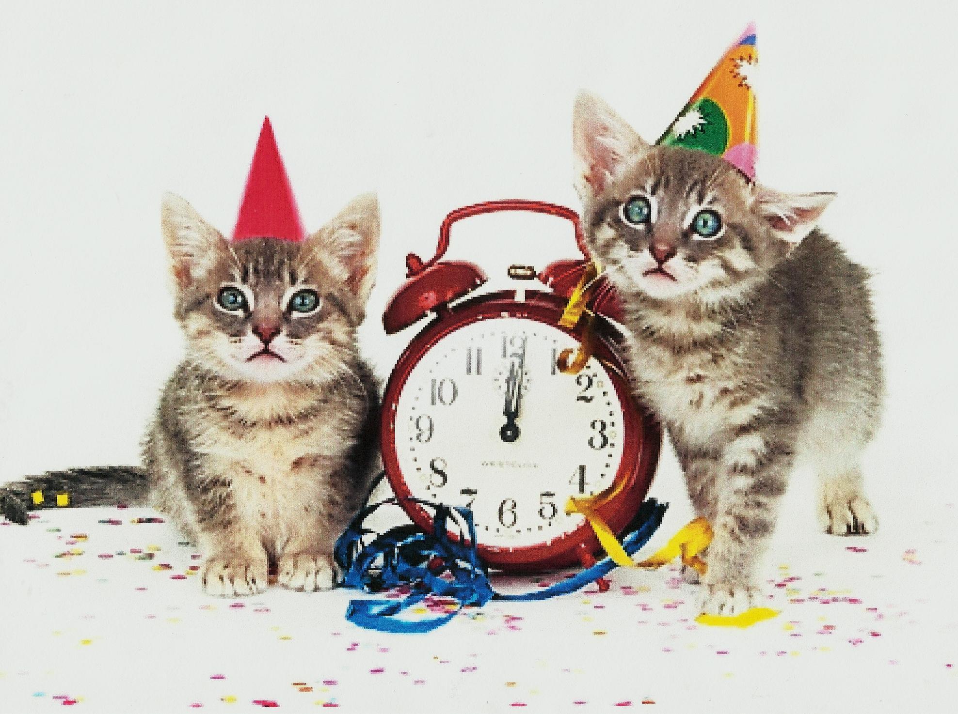 Happy New Year Kittens Wallpapers Wallpaper Cave