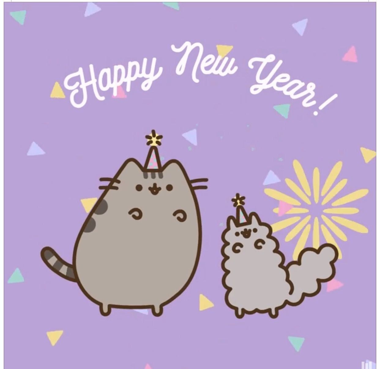 New Year Cat Wallpaper 1242×1206