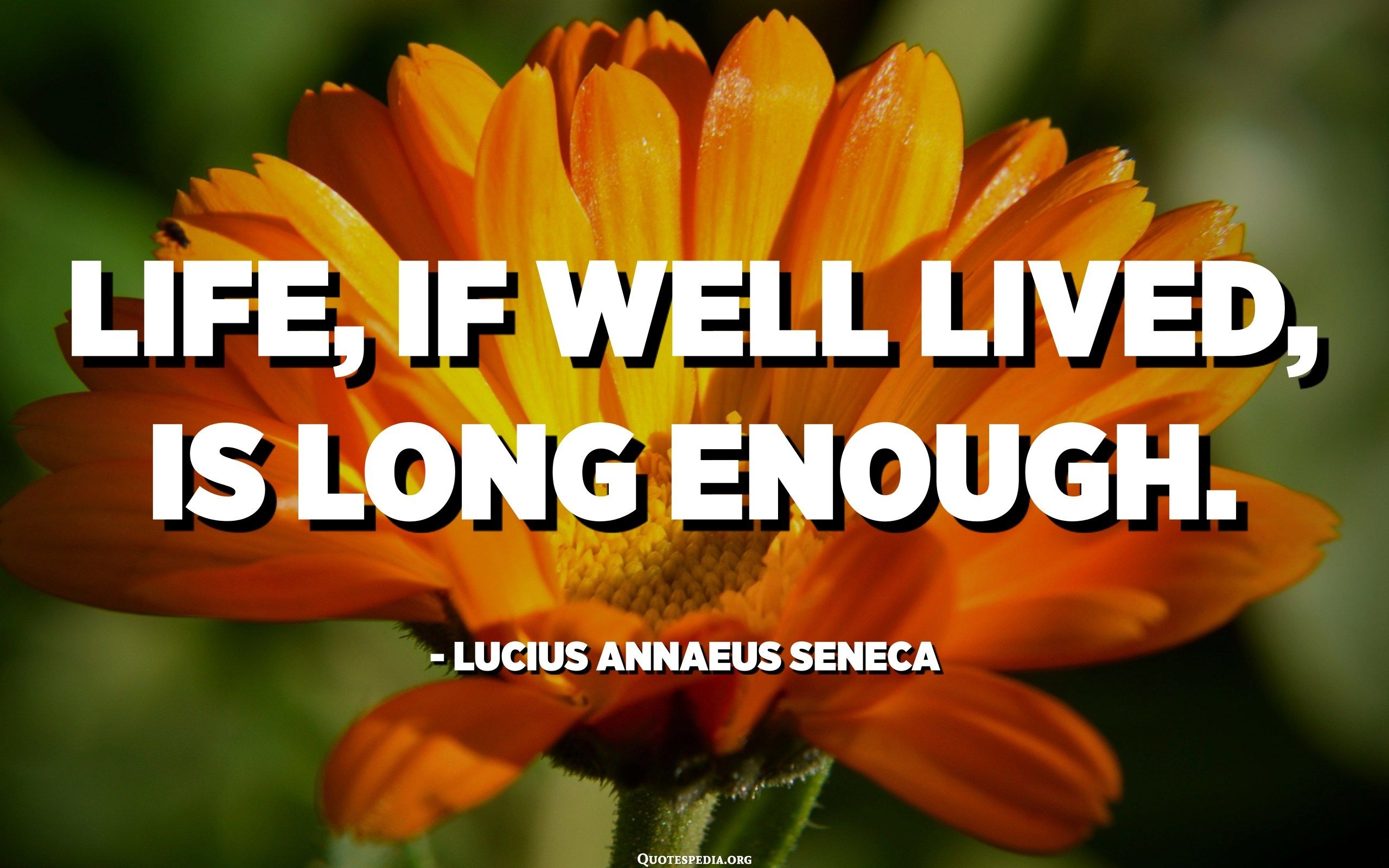 Life, if well lived, is long enough. Annaeus Seneca