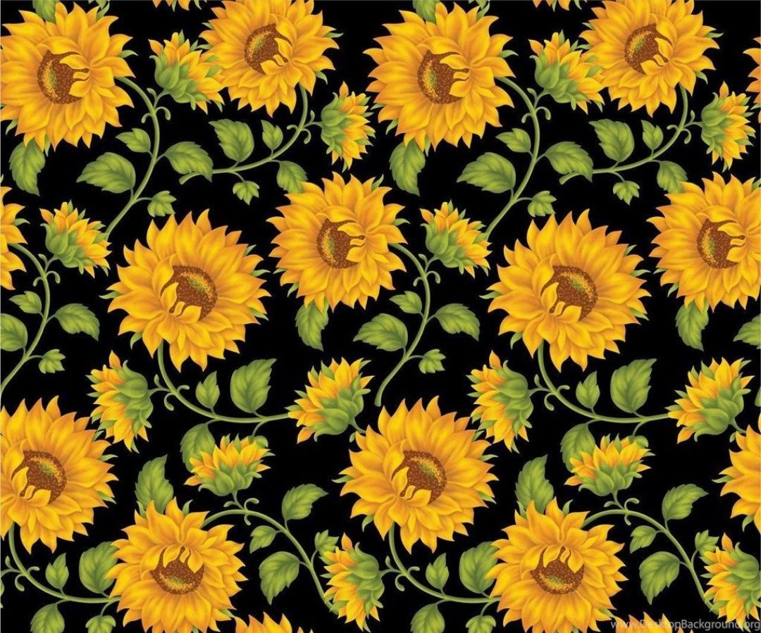 Yellow Aesthetic Sunflowers HD Wallpaper (Desktop Background / Android / iPhone) (1080p, 4k) (1080x899)