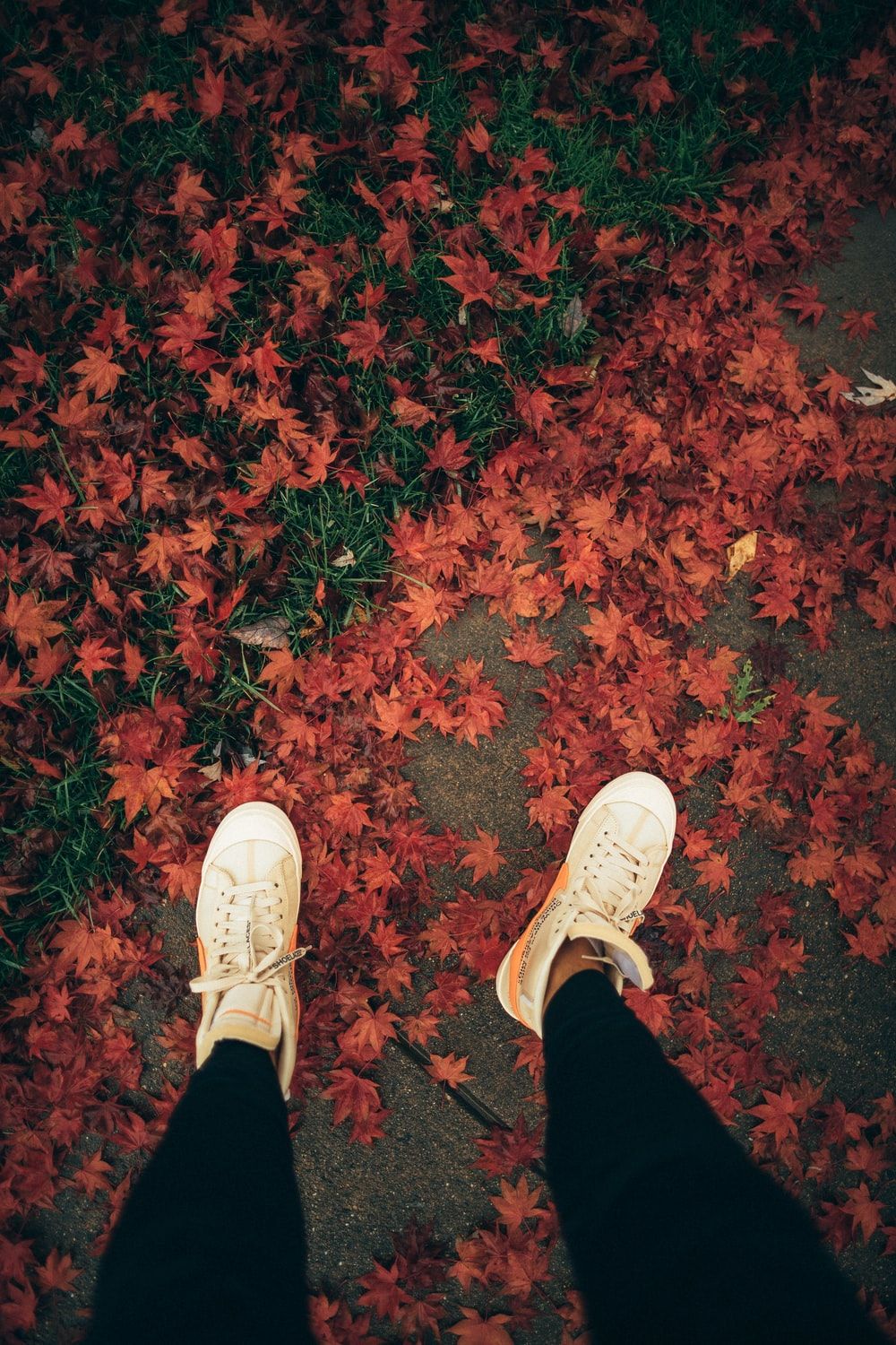 Autumn Season Picture. Download Free Image