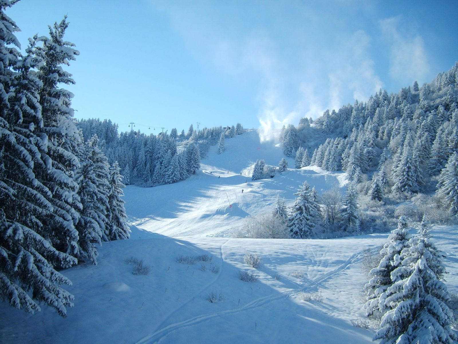 Beautiful Winter Wallpaper. Beauty of Winter season. Nature beautiful HD Desktop wallpaper for free download Online