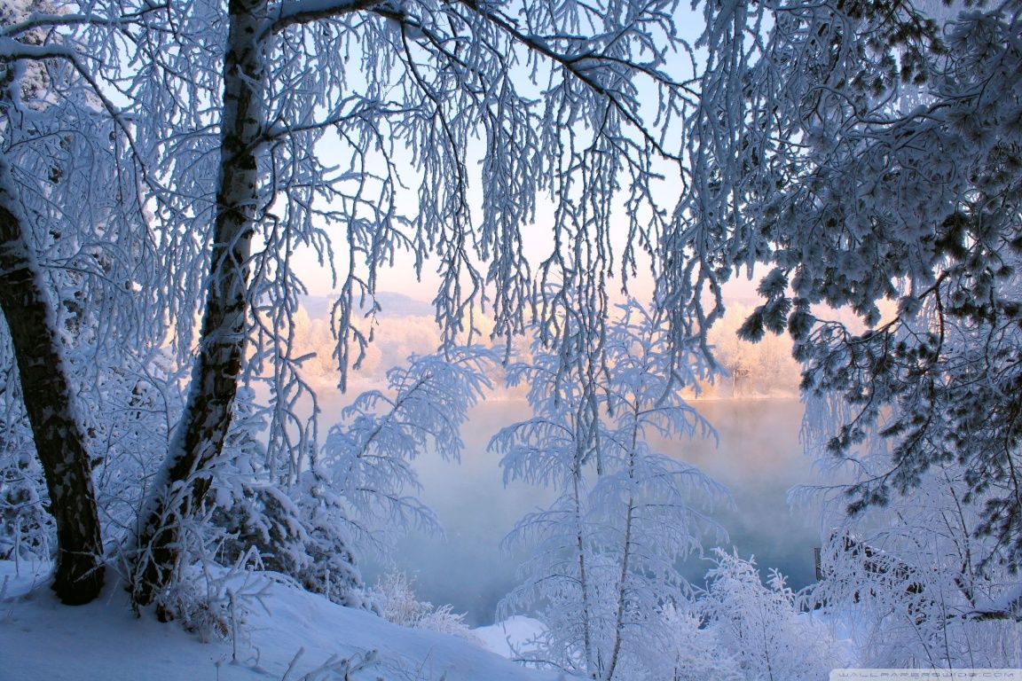 Beautiful Winter Scenery Wallpaper