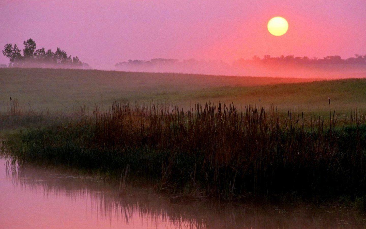 Early morning fog (Color) Wallpaper