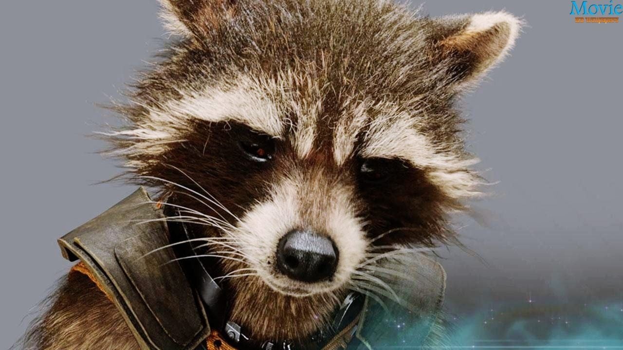 Free download Guardians of the Galaxy Movie HD Wallpaper [1280x719] for your Desktop, Mobile & Tablet. Explore HD Rocket Raccoon Wallpaper. Rocket and Groot Wallpaper, Guardians of the Galaxy