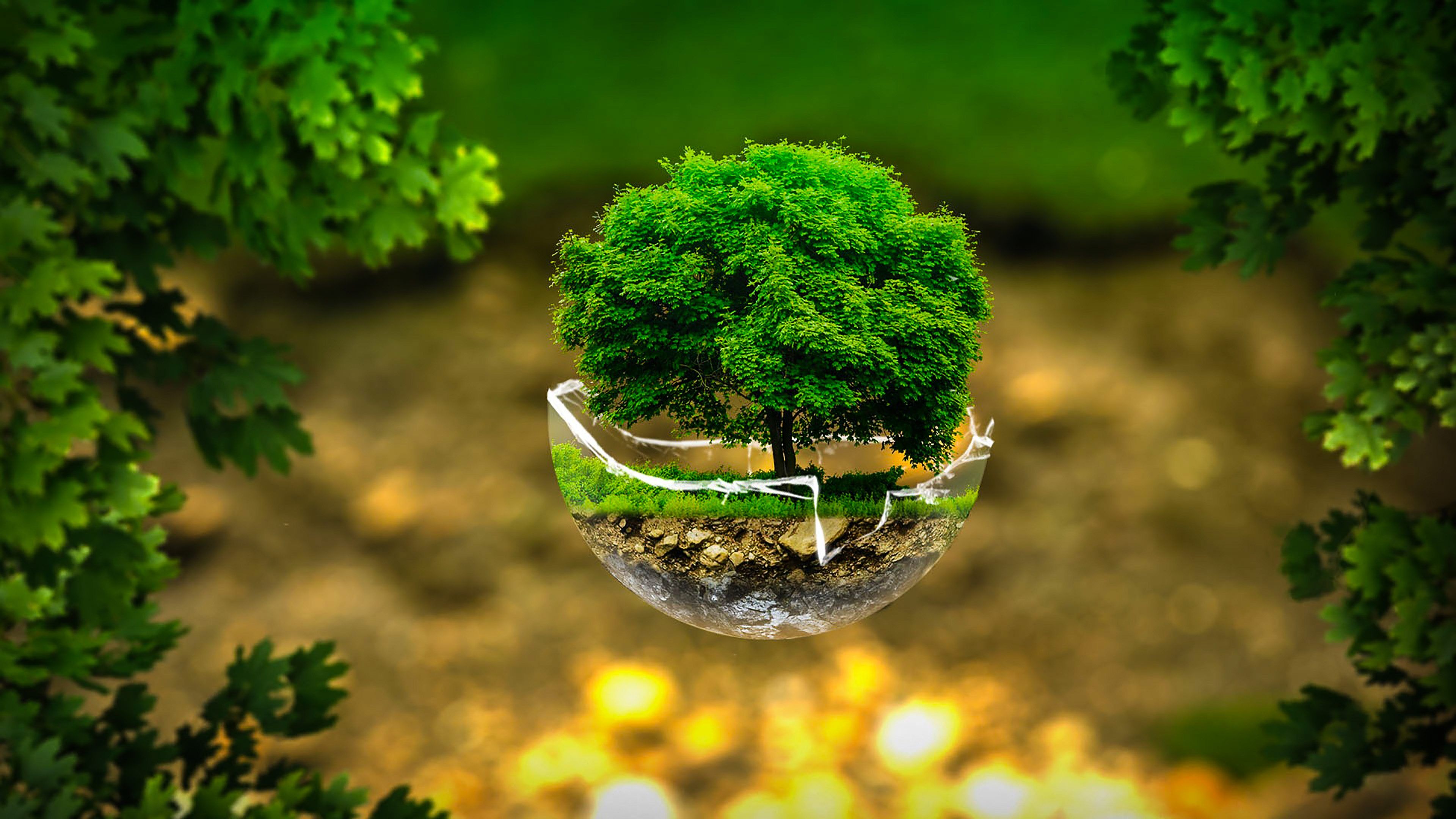 Tree Environment Green Creative 4K Wallpaper