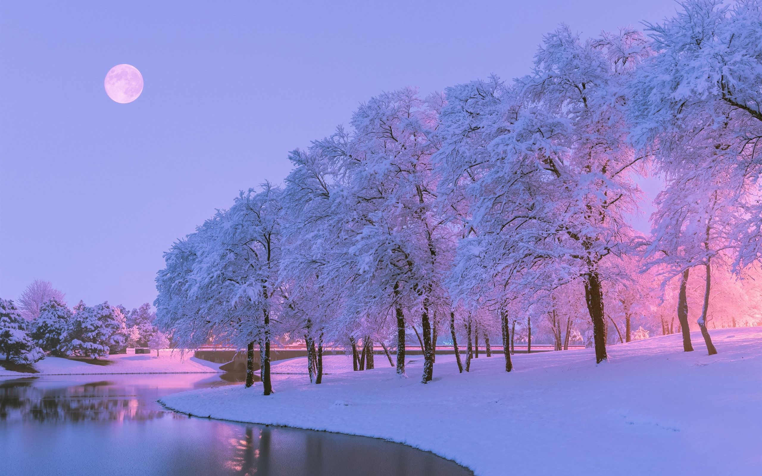 Wallpaper Beautiful Winter, Snow, Trees, River, Moon, Blue Pink Aesthetic