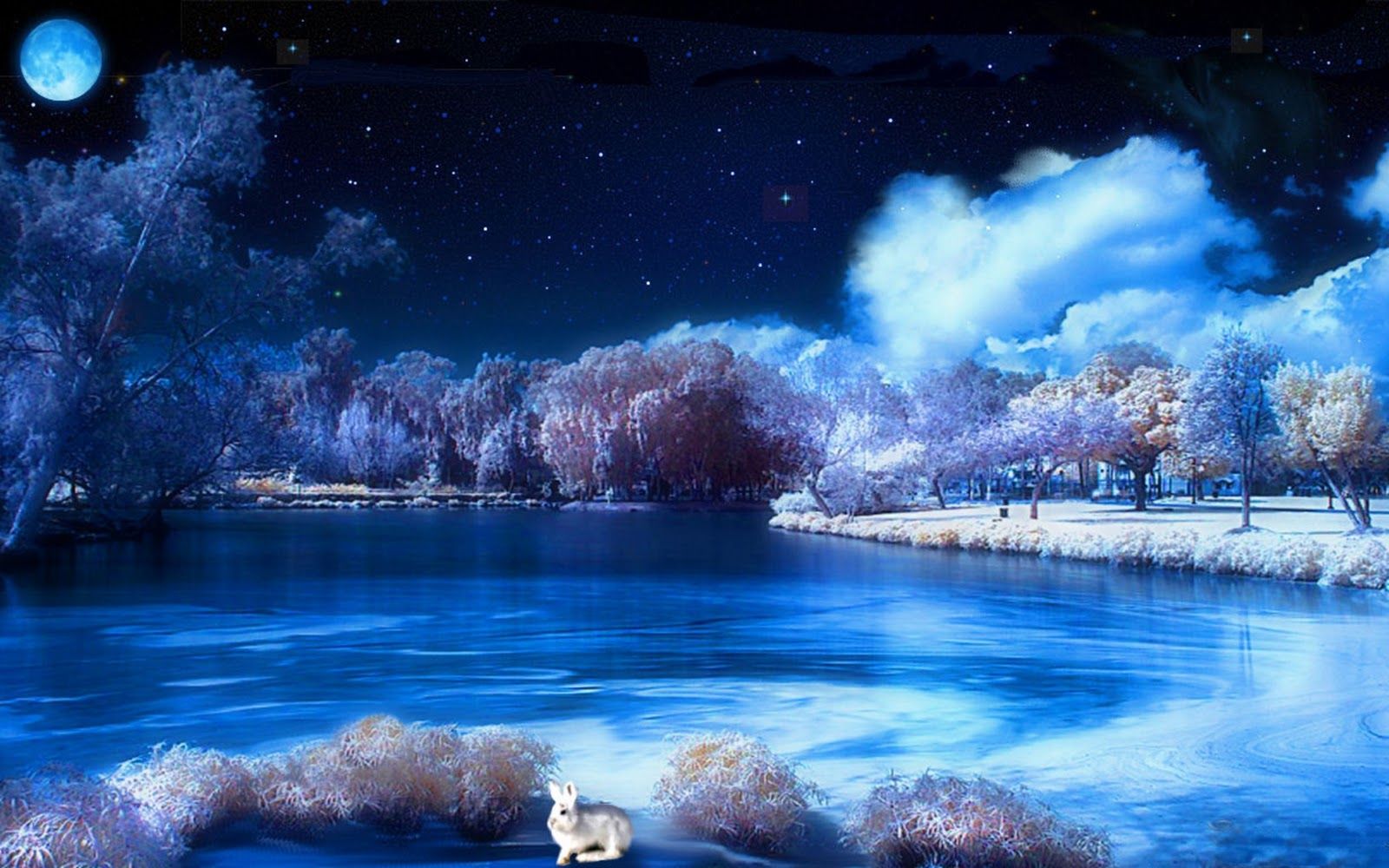 Free Desktop Wallpaper Winter Scenes 2015 Grasscloth Beautiful Night Background HD Wallpaper