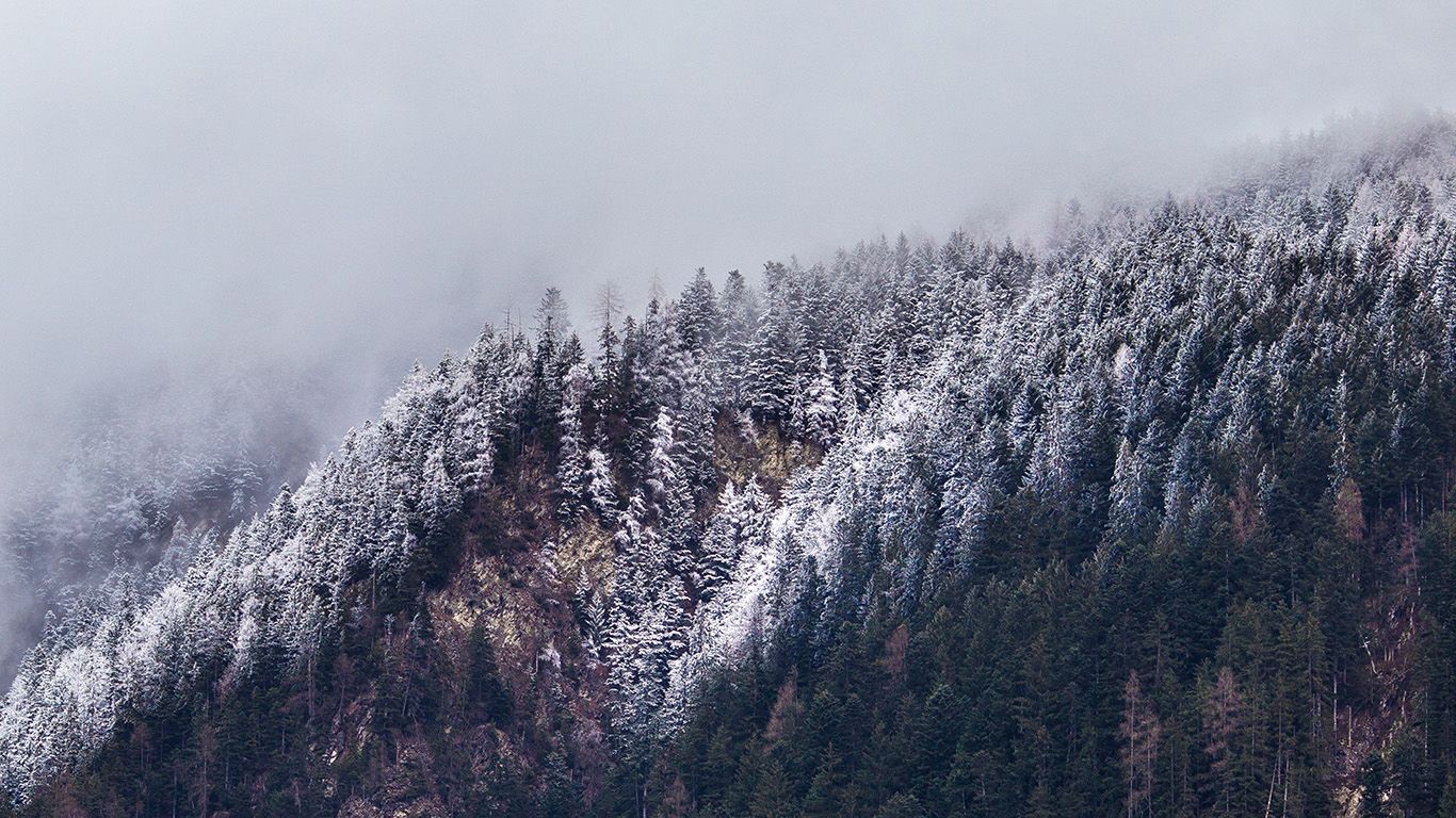 Cold Mountain Winter Tree White Snow Nature Wallpaper