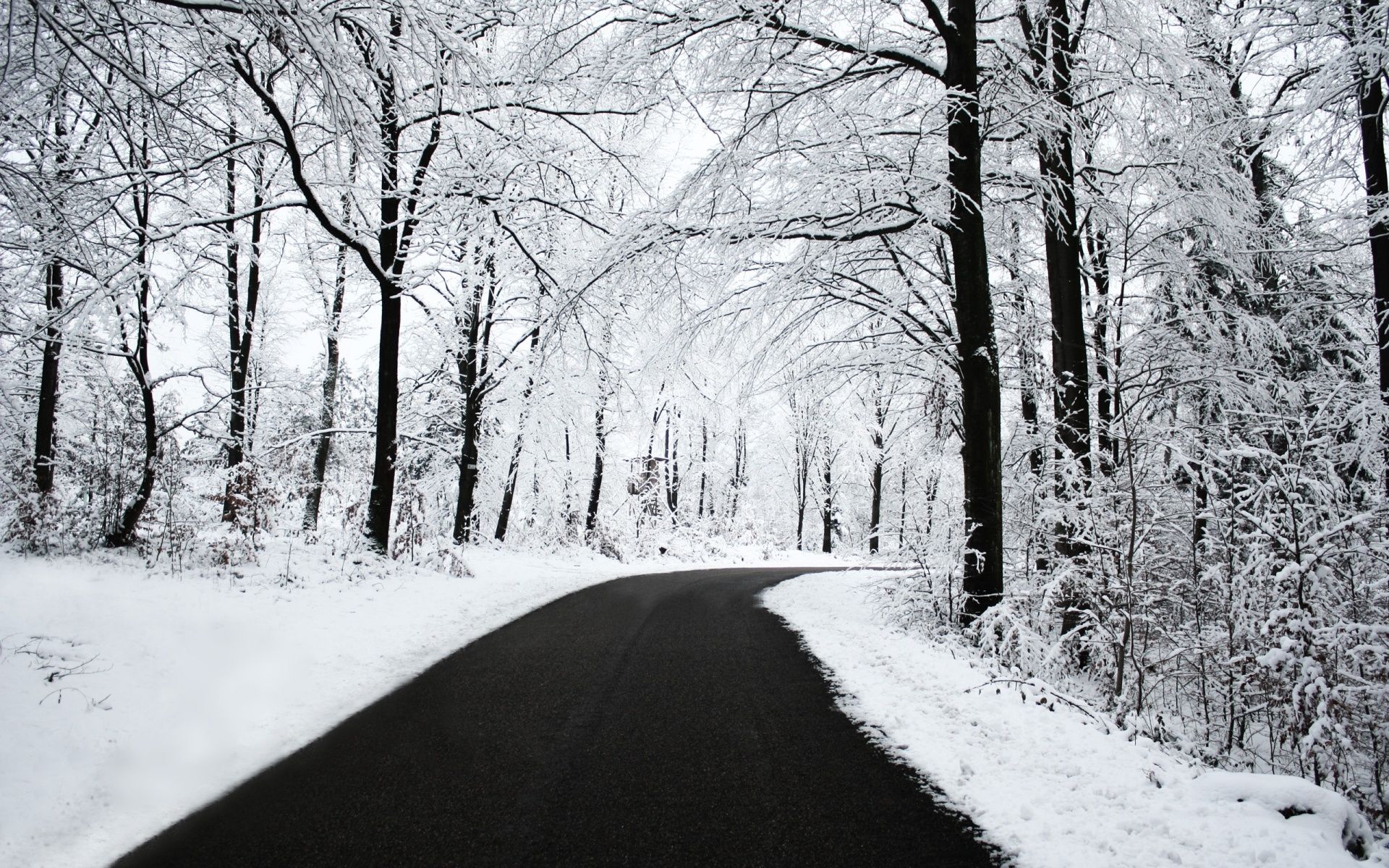 winter scenes wallpaper Desktop Wallpaperk HD