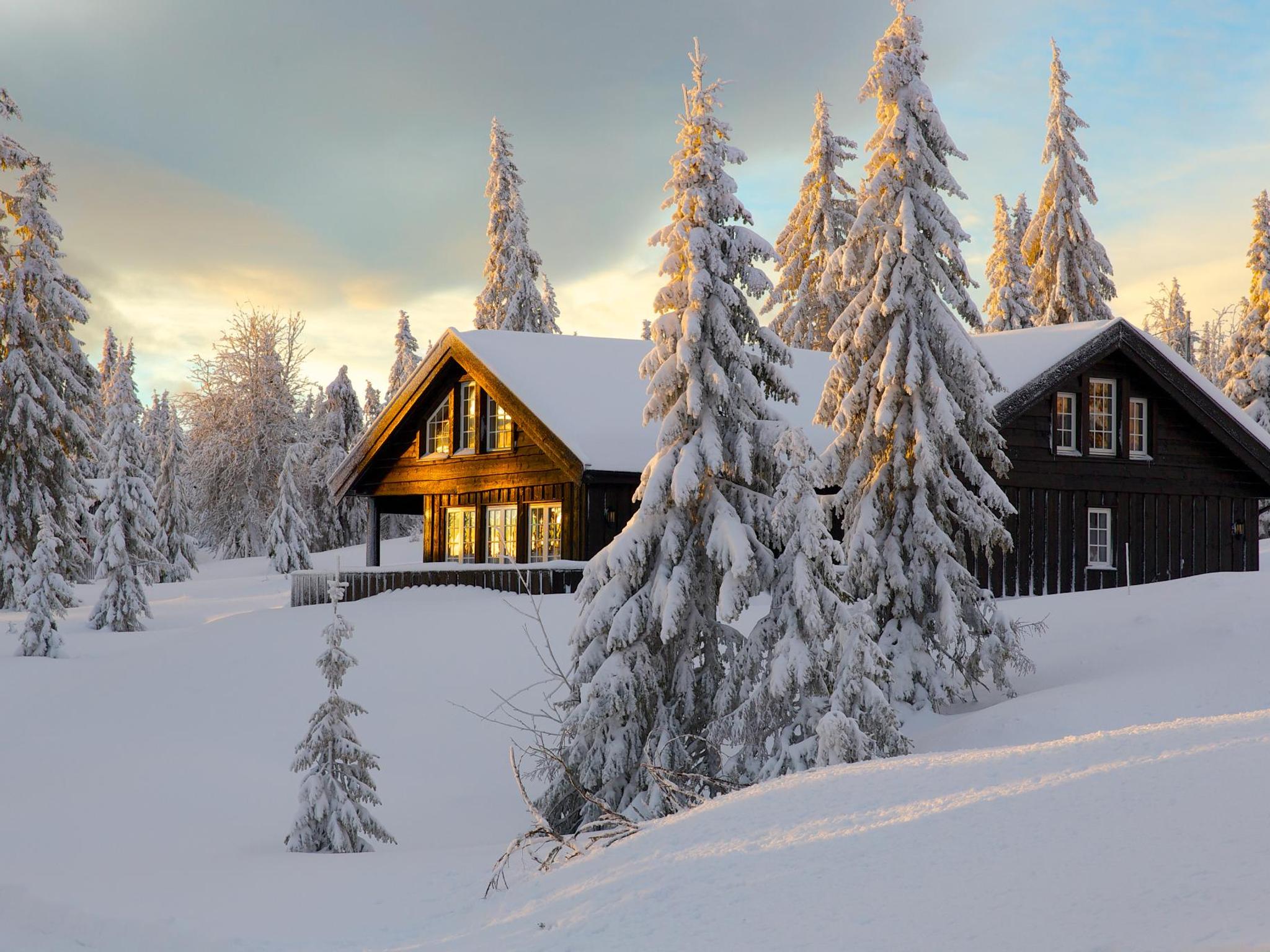 Snowy Winter Getaways for Bookers