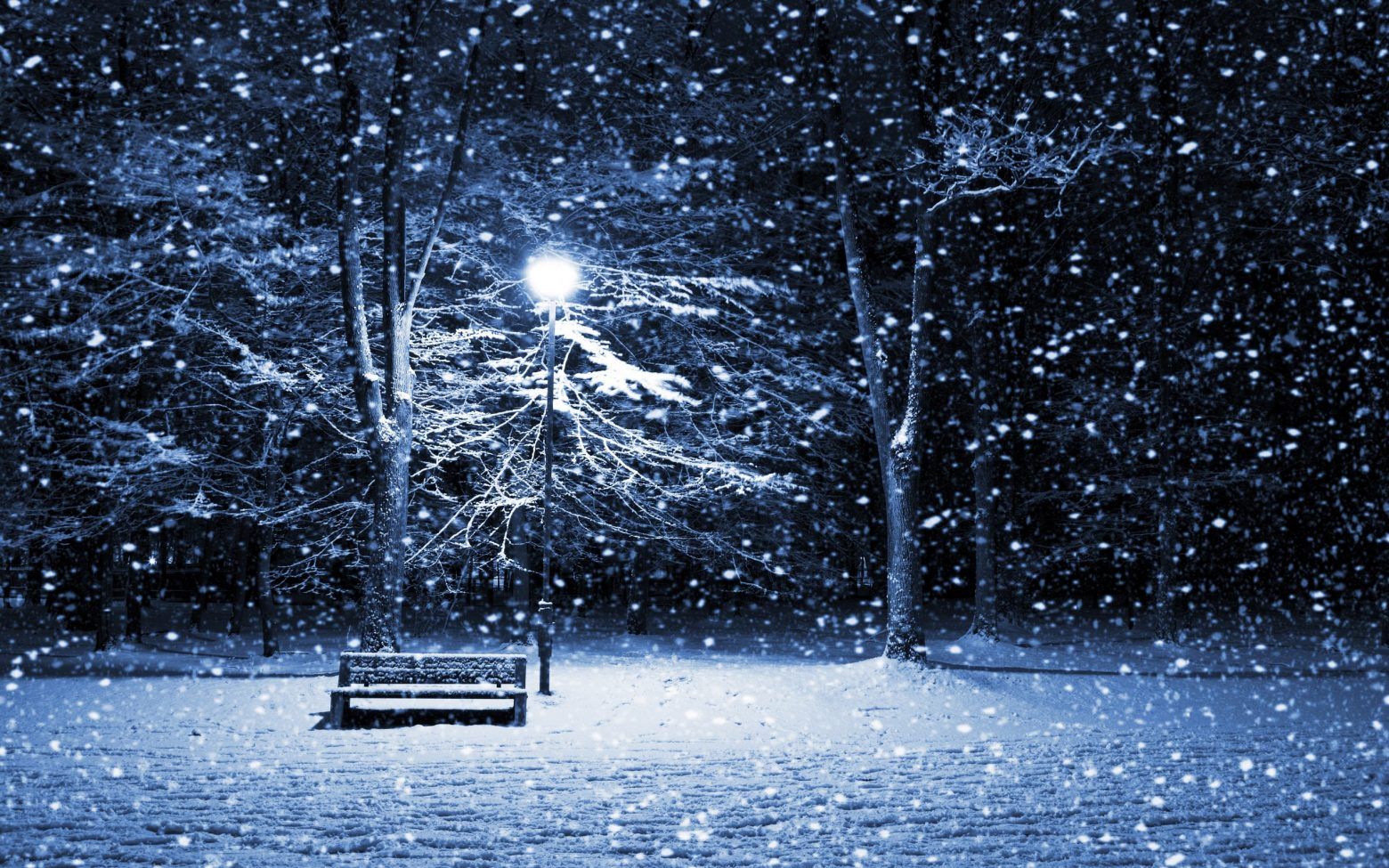 Winter Scenes Wallpaper Free For Desktop Hd
