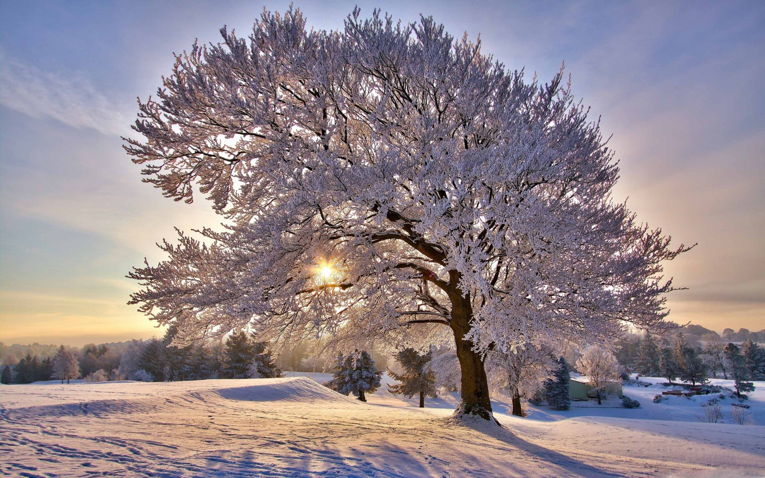 Beautiful Winter Morning MacBook Air Wallpaper Download
