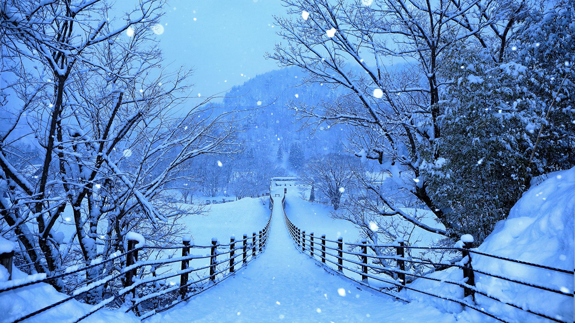 Picture Japan Shirakawa Go And Gokayama Winter Nature Snow 1920x1080