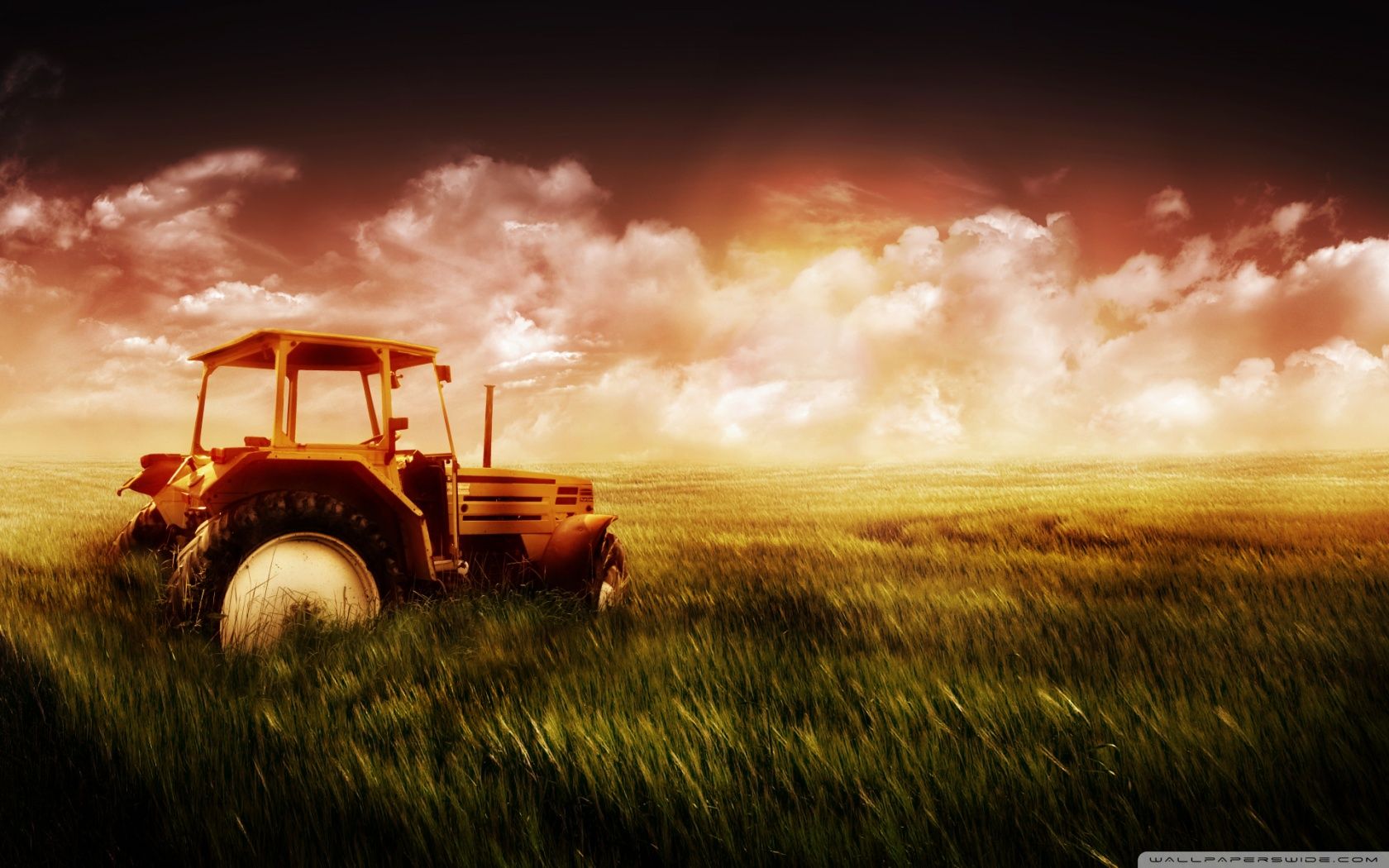 Tractor in Field Ultra HD Desktop Background Wallpaper for